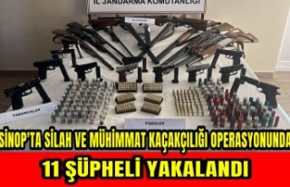 Sinop'ta silah ve mühimmat kaçakçılığı...