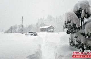 Doğu Karadeniz'de kar ve soğuk hava etkili...