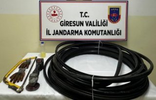 Giresun'da kablo hırsızlığı iddiasıyla...