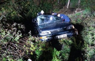 Ordu ve Gümüşhane'de kar etkili oldu