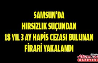 Samsun'da hırsızlık suçundan 18 yıl 3 ay...