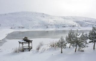 Tokat'ta Üçoluk Göleti'nin yüzeyi buz...