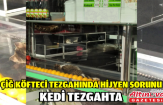 Çiğ Köfteci Tezgahında Hijyen Sorunu: Kedi Tezgahta