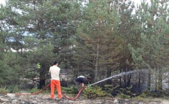 Bolu'da ormanlık alanda çıkan yangın söndürüldü