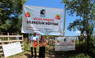 Samsun'da çilek yetiştiriciliği eğitimi düzenlendi