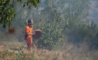 Düzce'de ormanlık alanda çıkan yangın kontrol altına alındı