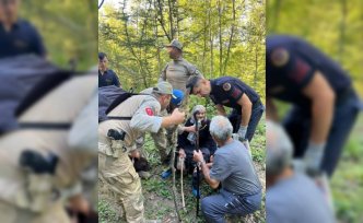 Sinop'ta mantar toplarken kaybolan kadın ormanda bulundu