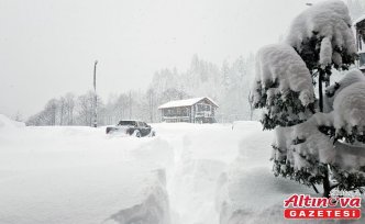 Doğu Karadeniz'de kar ve soğuk hava etkili oluyor