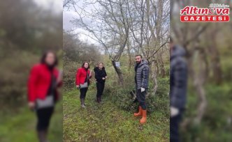19 Mayıs ilçesinde kahverengi kokarcayla mücadele çalışmaları sürüyor