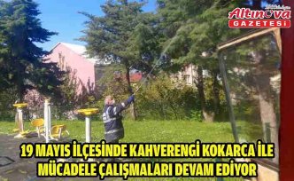 19 Mayıs ilçesinde kahverengi kokarca ile mücadele çalışmaları devam ediyor
