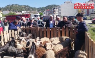 Hanönü ilçesinde hayvan pazarı açıldı
