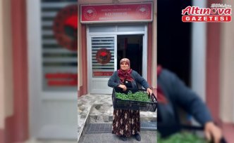 Hanönü'de 25 bin fide dağıtıldı