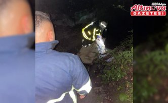 Türkeli'de dereye düşen inek kurtarıldı