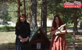 Gümüşhane Üniversitesi'nde “Kedi Evleri“ kuruldu