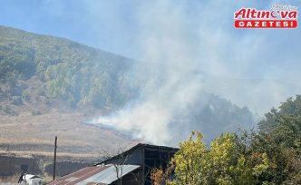 Gümüşhane'de çıkan orman yangını söndürüldü