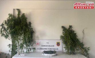 Samsun'da uyuşturucu operasyonunda 2 şüpheli yakalandı