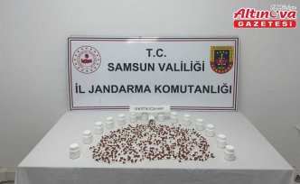 Samsun'da uyuşturucu operasyonunda yakalanan zanlı tutuklandı