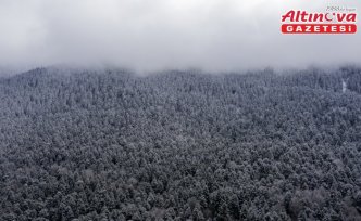 Gölcük Tabiat Parkı, Topuk Yaylası ve Karabük'teki ormanlar beyaza büründü