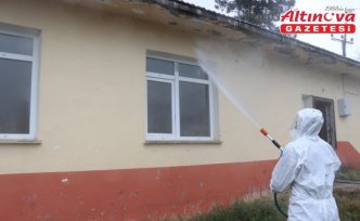 Samsun'da “kahverengi kokarca“ ile mücadele ediliyor