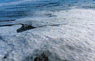 Düzce Akçakoca’da denizde köpük görünümünde tabaka oluştu