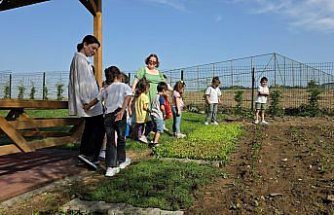 Düzce'de çocuklar hobi bahçesinde sebze yetiştirerek çevre bilinci kazanıyor