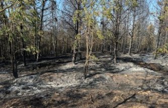 Kastamonu'da ormanlık alanda çıkan yangın kontrol altına alındı
