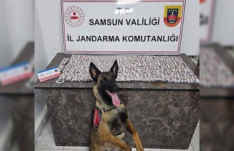 Samsun'da uyuşturucu operasyonunda 4 zanlı yakalandı