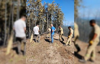 Karabük'teki orman yangınında soğutma çalışmaları sürüyor