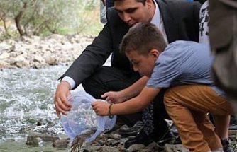 Kastamonu'da 7 bin kırmızı benekli alabalık yavrusu Devrekani Çayı'na bırakıldı