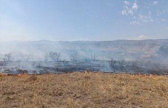 Kastamonu'da anız yangını köye ve ormanlık alana sıçramadan kontrol altına alındı