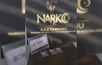 Kastamonu'da düzenlenen uyuşturucu operasyonunda 2 kişi yakalandı