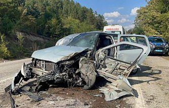 Bolu'da kamyonla çarpışan otomobildeki 2 kişi yaralandı