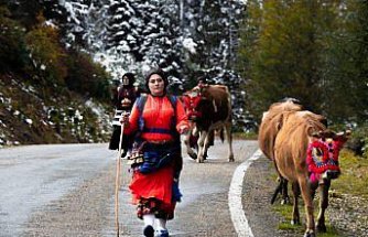 Doğu Karadeniz'de kar yağışı yaylalardan dönüşü hızlandırdı