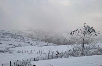 Karadeniz'de 5 ilde yüksek kesimlere kar düştü