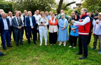 Samsun'da kahverengi kokarca ile mücadele için çiftçilere feromon tuzağı desteği