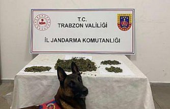 Trabzon'da uyuşturucu operasyonunda 2 şüpheli yakalandı