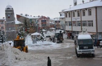 Başçiftlik'te kar yığınları kamyonlarla ilçe dışındaki boş alanlara taşınıyor