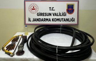 Giresun'da kablo hırsızlığı iddiasıyla 1 kişi tutuklandı