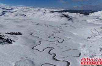 Menderesleri ile ünlü Perşembe Yaylası'nda kar güzelliği