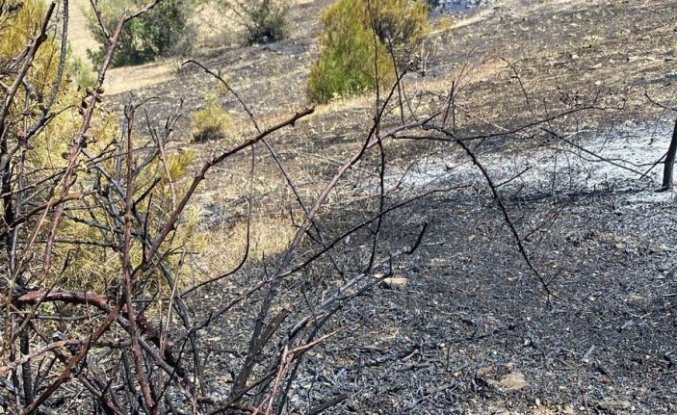 Alaçam'da ormanlık alandaki yangın söndürüldü
