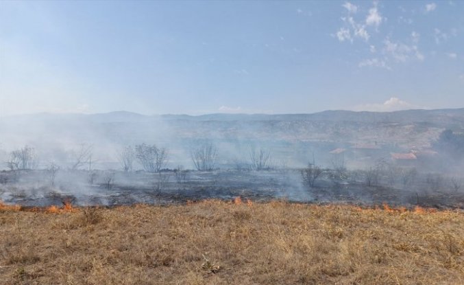 Kastamonu'da anız yangını köye ve ormanlık alana sıçramadan kontrol altına alındı