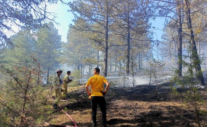 Kastamonu'da çıkan örtü yangını kontrol altına alındı