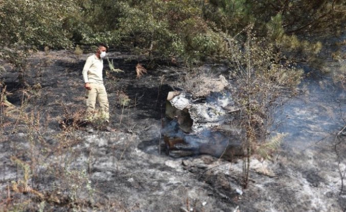 Samsun'da anız yangını 150 dekar alanda etkili oldu