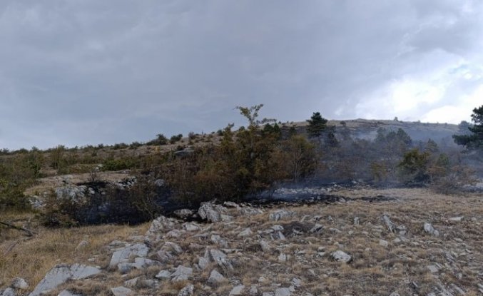 Bolu'da çıkan örtü yangını söndürüldü