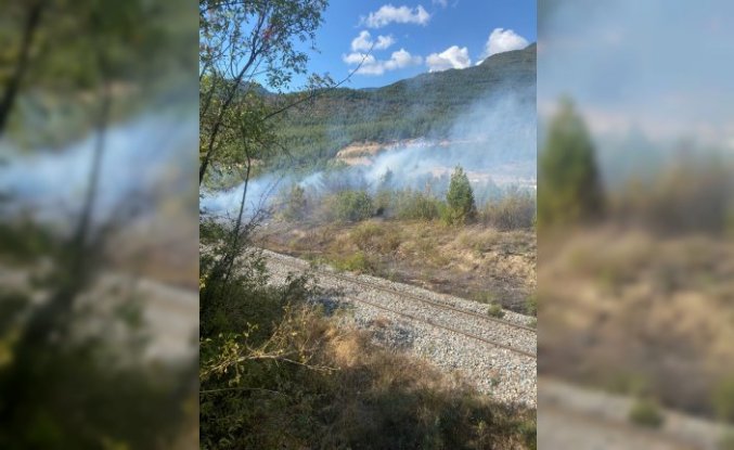 Karabük'te çıkan orman yangınında 15 dönüm alan zarar gördü