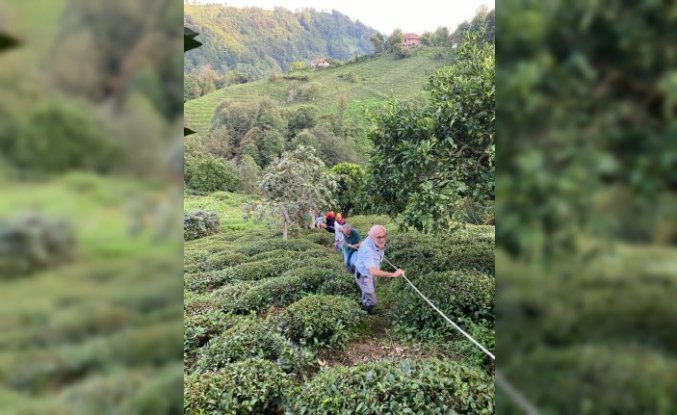 Rize'de teli kopan ilkel teleferikten çay bahçesine atlayan kadın yaralandı