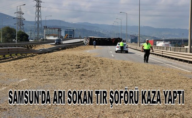 Samsun'da arı sokan tır şoförü kaza yaptı