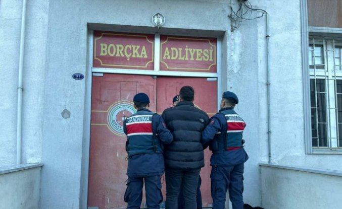 Artvin'de ormanda izinsiz yapılan kesimle ilgili kooperatif başkanı gözaltına alındı