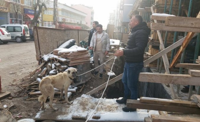 Amasya'da inşaata düşen köpek kurtarıldı