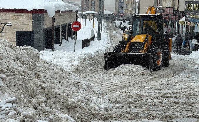 Doğu Karadeniz'de soğuk hava ve kar yaşamı olumsuz etkiliyor